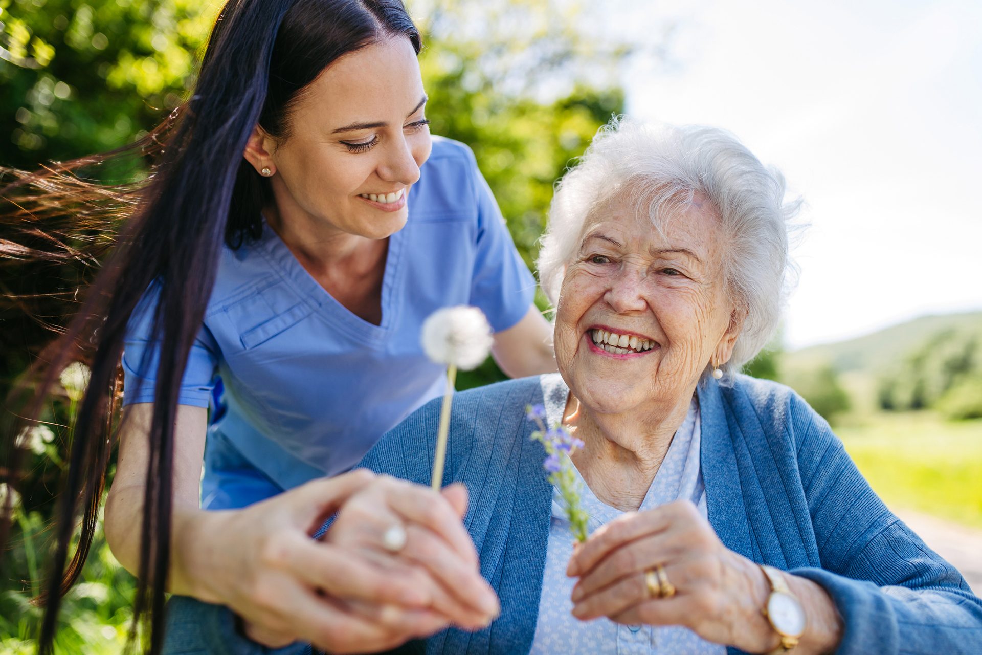 Female caregiver and senior woman in wheelchair holding dandelion, picking wild flowers. Nurse and elderly woman enjoying a warm day in nursing home, public park. A caregiver shares a moment with a smiling senior resident outdoors, illustrating the kind of resident experience supported by Cliniconex’s automated communication platform.