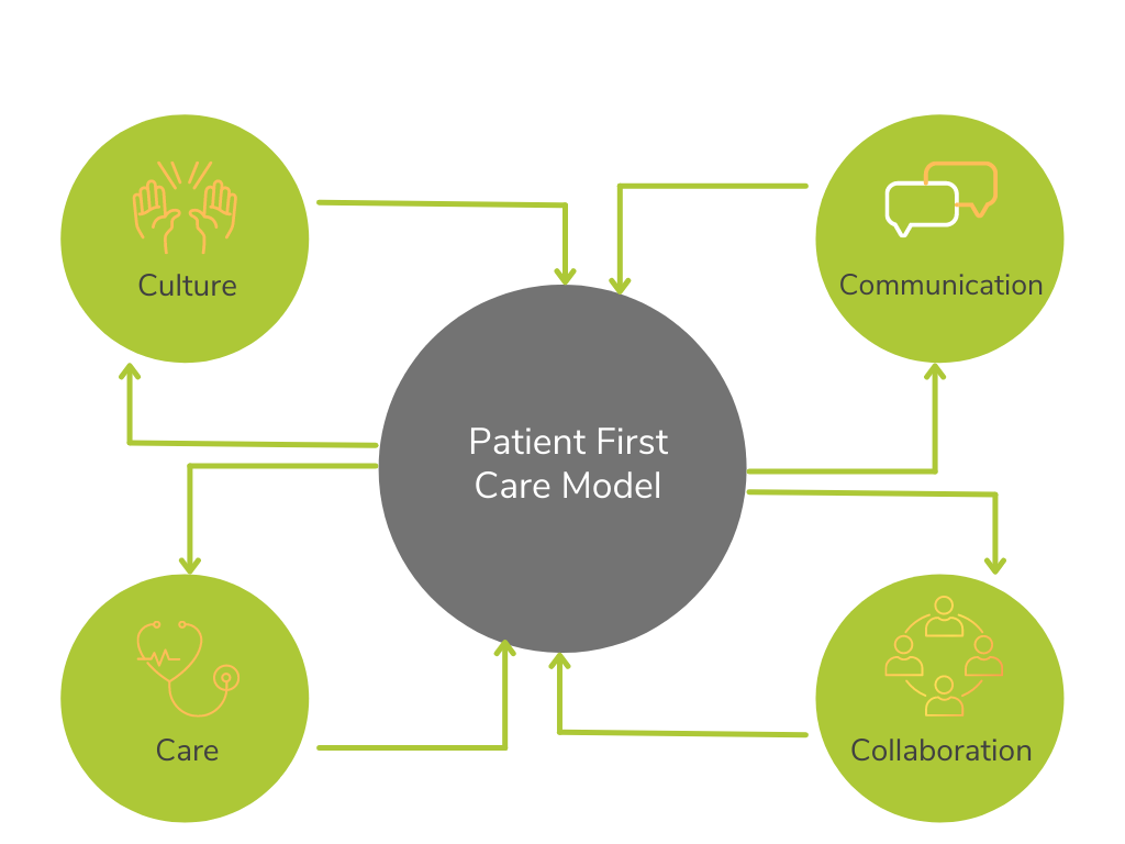 Value based care model